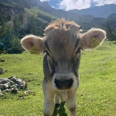 Rittersstuben * Garmisch-Partenkirchen